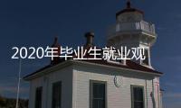 2020年毕业生就业观调查