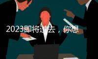 2023即将过去，你想用什么词总结自己这一年
？