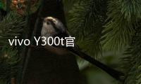 vivo Y300t官宣3月31日发布：超长续航
，超强性能