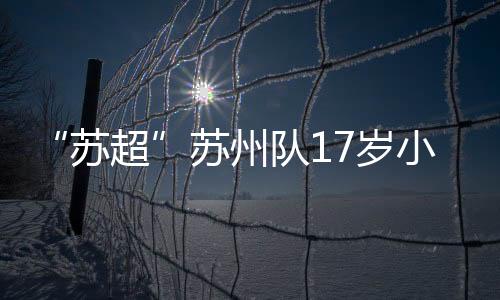 是在校园里为学业拼搏的年纪
