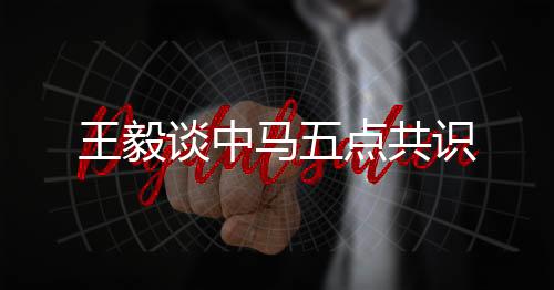 也是王毅中马关系的最新进展