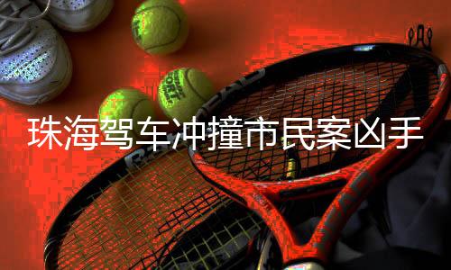 珠海剥夺政治权利终身