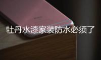 牡丹水漆家装防水必须了解的干货!