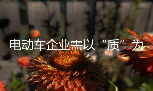 电动车行业态势萎靡