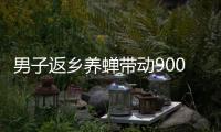 男子返乡养蝉带动900余户创业：一晚最多捉1.3万只，1只1元，有人捉十几天就回本