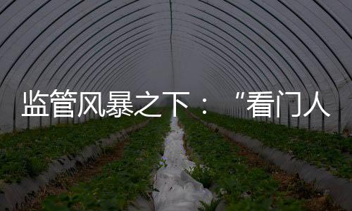 监管在罚单数量前十名中