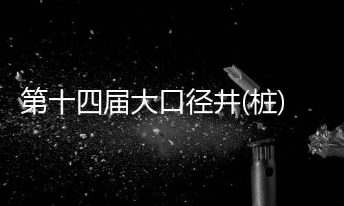 在西南某项目攻坚中