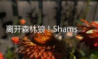 离开森林狼！Shams
：凯尔特人2年550万签下卢卡