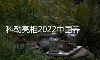 科勒亮相2022中国养生与水疗峰会 极简美学融合前沿科技 “智”定专属SPA体验