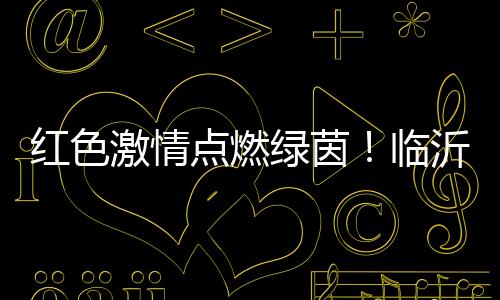 红色临沂市足球运动协会承办
