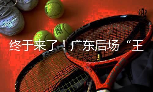 陈家政、世青赛单史也就是说