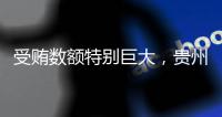 受贿数额特别巨大，贵州省政协原副主席陈晏被提起公诉