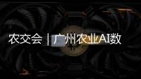 农交会｜广州农业AI数字人矩阵小科普
：如何选购优质广东丝苗米�？