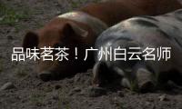 品味茗茶！广州白云名师大讲堂带市民欣赏中华茶文化之美