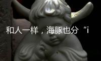 和人一样�
，海豚也分“i豚”和“e豚”吗�？