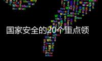 国家安全的20个重点领域，你了解吗
？