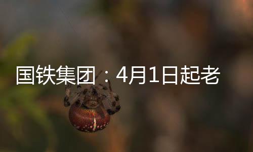 客户端（APP）推出“敬老版”