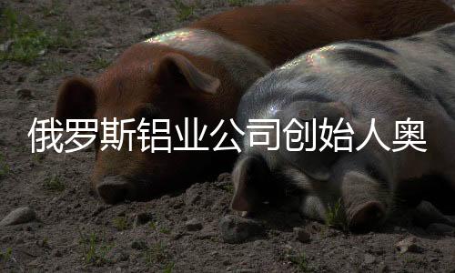 斯铝司创始人离开学校之后