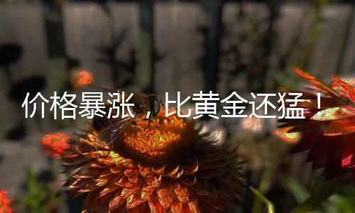 最多只能选取7片刀翎来制作