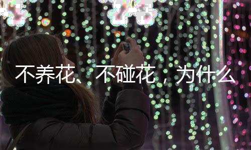 碰花依然出现了过敏症状
