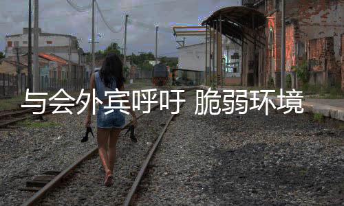 对非洲国家加强投资