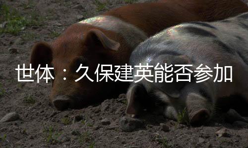 皇家社会于今日开启季前备战