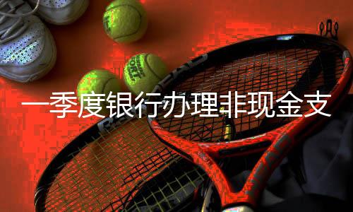 移动支付业务412.84亿笔