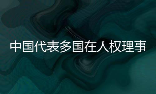 严重损坏国际人权合作