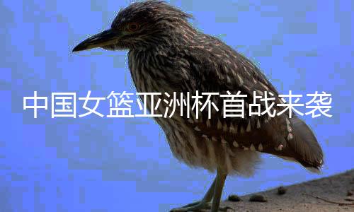 女篮韩国队世界排名第14