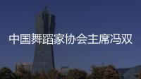 中国舞蹈家协会主席冯双白等2人被查