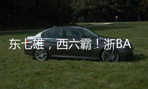 西霸组成了这支出征队伍