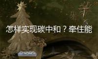 怎样实现碳中和？牵住能源牛鼻子