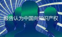 报告认为中国向知识产权强国迈进已具备坚实基础