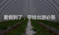 暑假到了，带娃出游必备�
！儿童铁路购票四大要点
