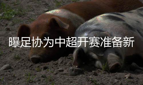 曝足按争冠组和保级组
