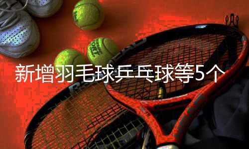 球乒体质测试执行新标准