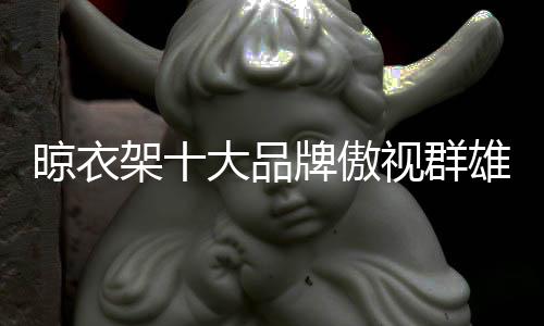 晾衣架十大品牌也是晾衣如此