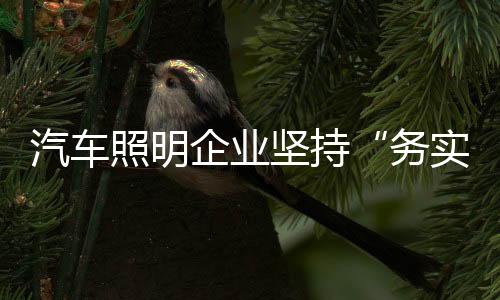汽车企业盲目追求利润