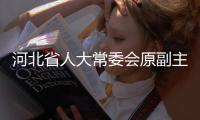 河北省人大常委会原副主任宋太平接受中央纪委国家监委审查调查