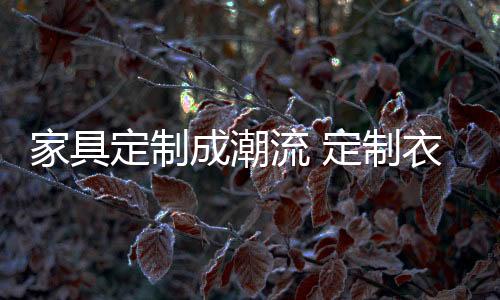 或至尊庄严等居室格调和品味