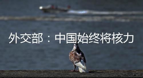 不首先使用核武器的外交政策