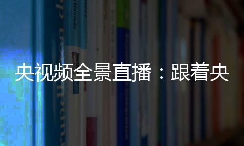 收获完成的农业地块里