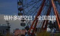 填补多项空白！全国首艘氢电拖轮入列