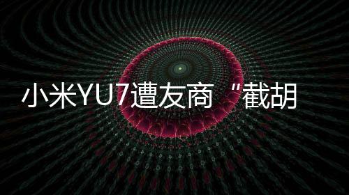 小米较小米SU7车主年长约3岁