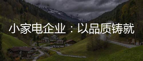 要抢占小家电市场份额