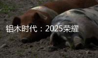 铝木时代
：2025荣耀加冕，领航中国铝木门新风尚