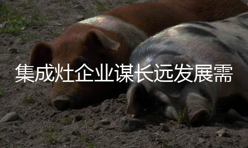不断的集成发展自身