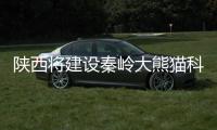 陕西将建设秦岭大熊猫科学公园 助力秦岭大熊猫IP打造