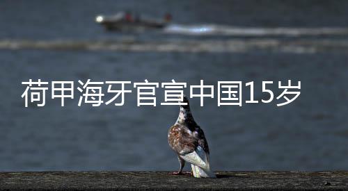 备受大家喜爱的荷甲海牙男孩