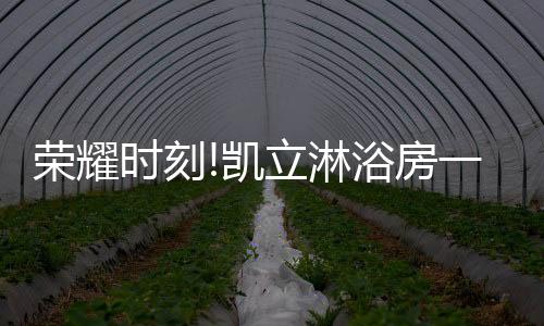 金匠心奖付出的是努力